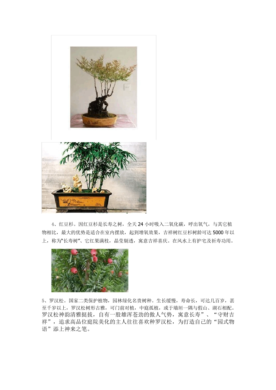 适合庭院绿化的优良树种_第3页