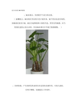 适合房间的18种植物