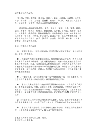 适合水培花卉的品种