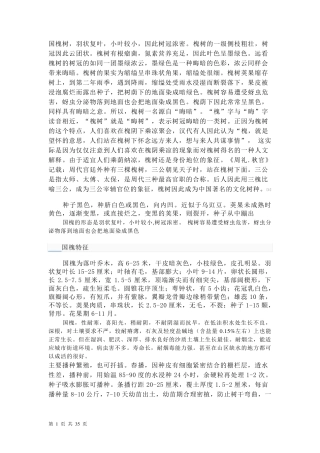 适宜北京种植的部分树种简介