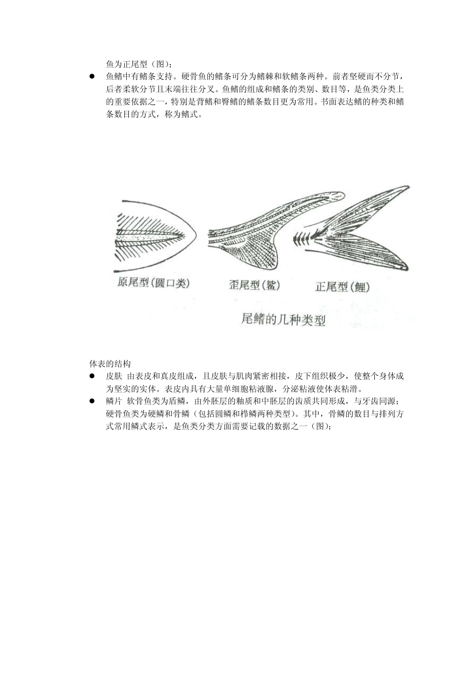 适应水生生活的鱼类软骨鱼纲(Chondrichthyes)和硬_第2页