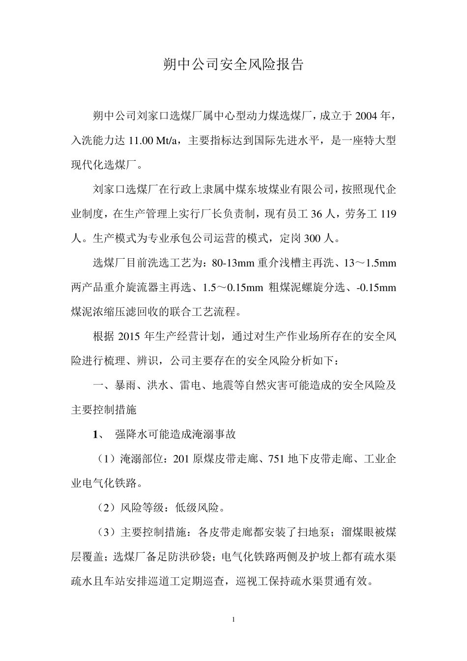 选煤厂安全风险报告_第2页