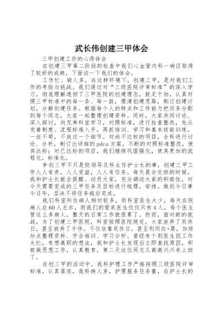 武长伟创建三甲体会