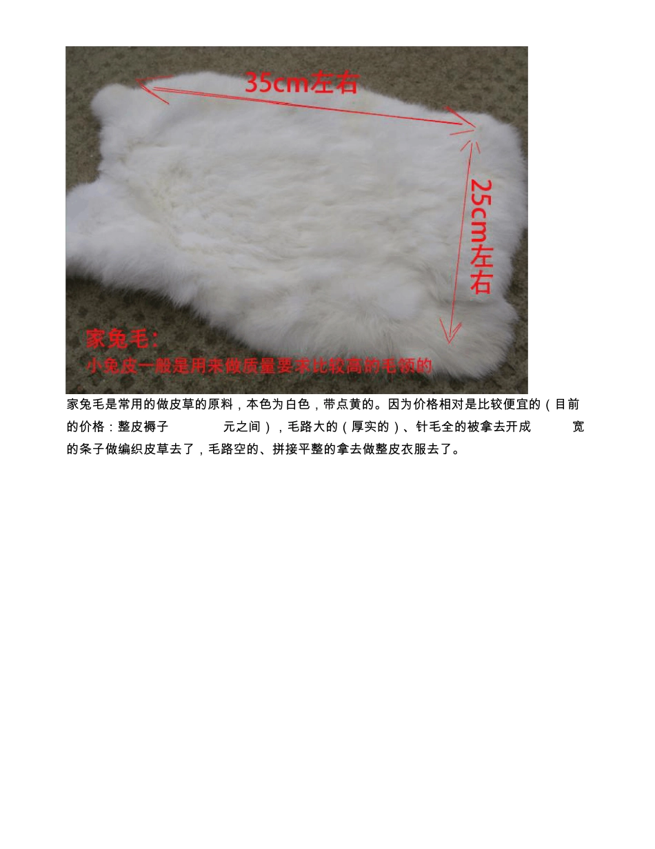 选购皮草您不得不看的万言废文_第2页