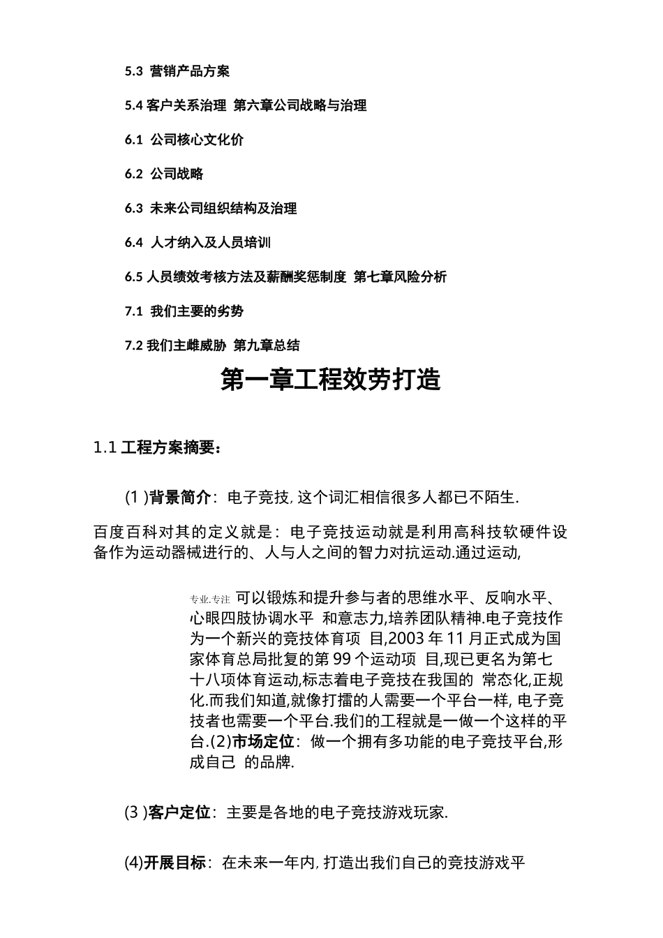 电子竞技创业项目计划书_第3页