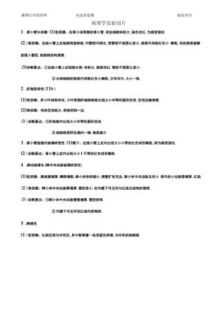 病理学试验切片