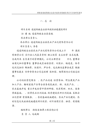 通道县城防洪工程可研报告