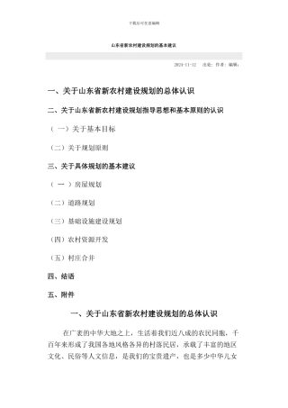 新农村规划建议