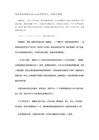 造景鱼缸经验分享