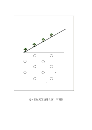 造林树种配置图