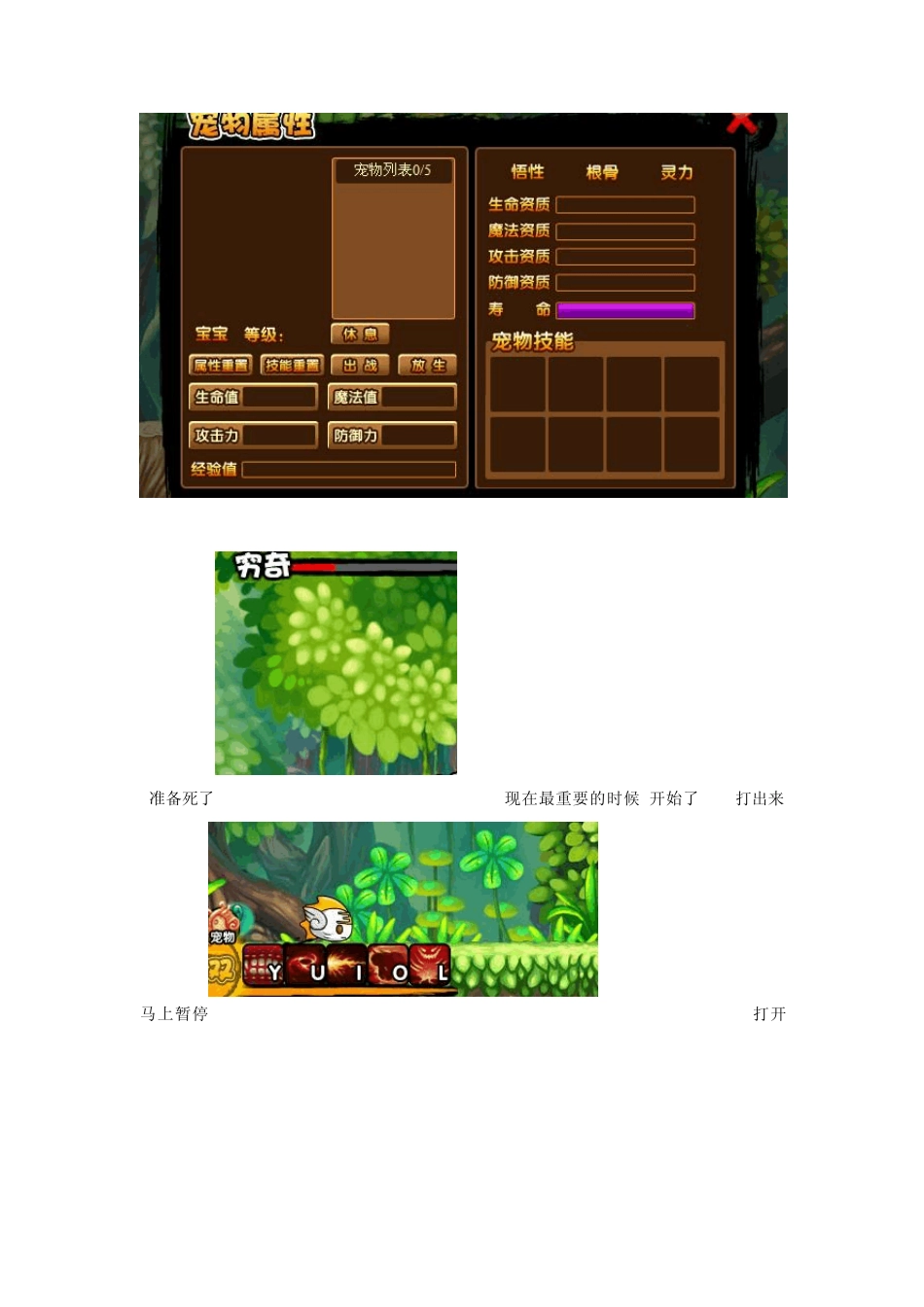 造梦西游3修改宠物的悟性_第3页