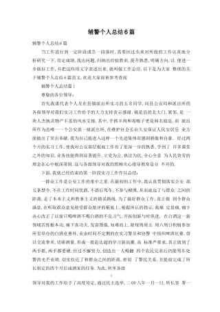 辅警个人总结6篇