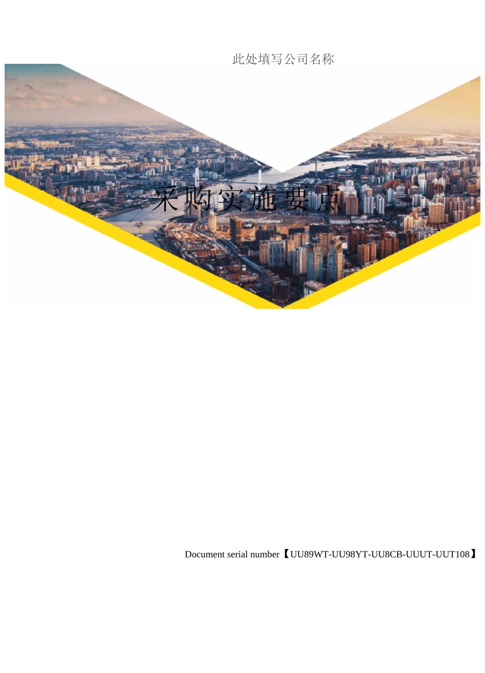 采购实施要点_第1页