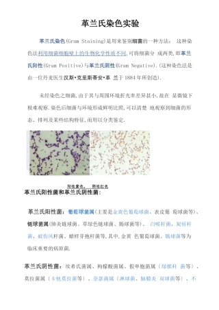 革兰氏染色试验