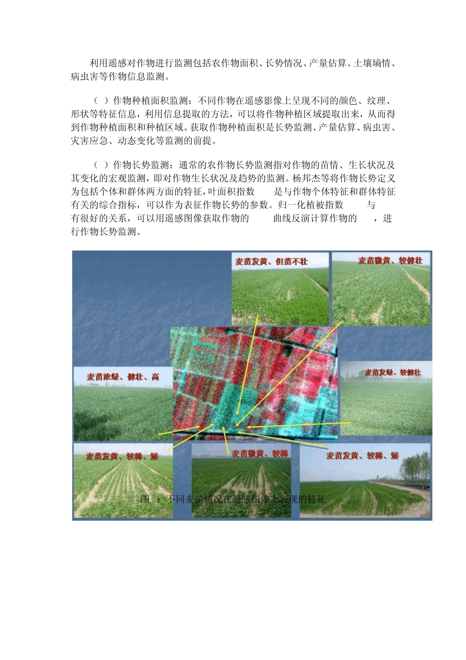 遥感技术在农业中的应用可归结为以下三个大的方面_第2页