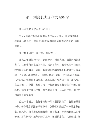 那一刻我长大了作文500字