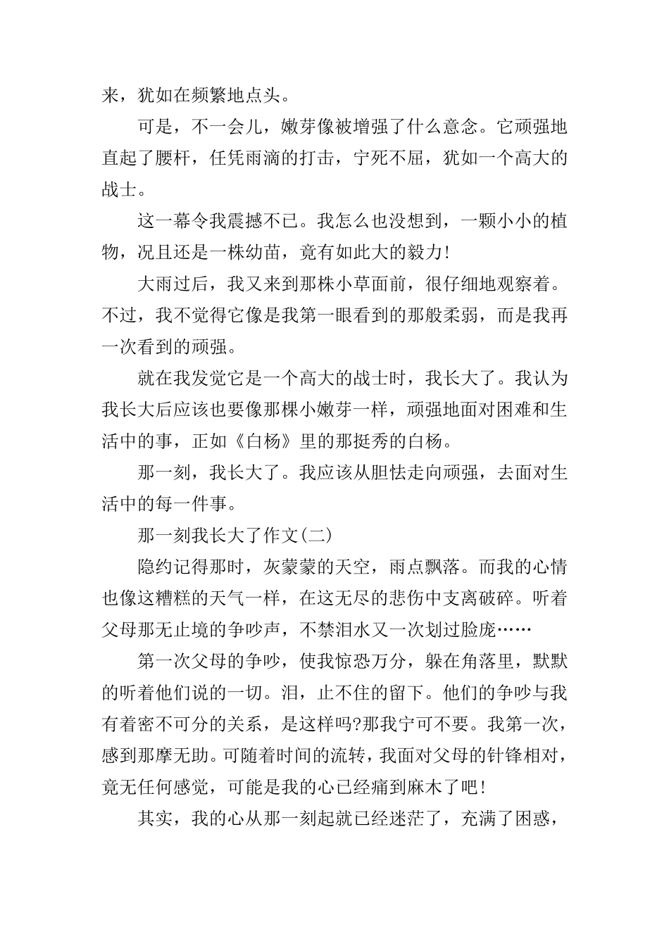 那一刻我长大了作文十篇_第2页