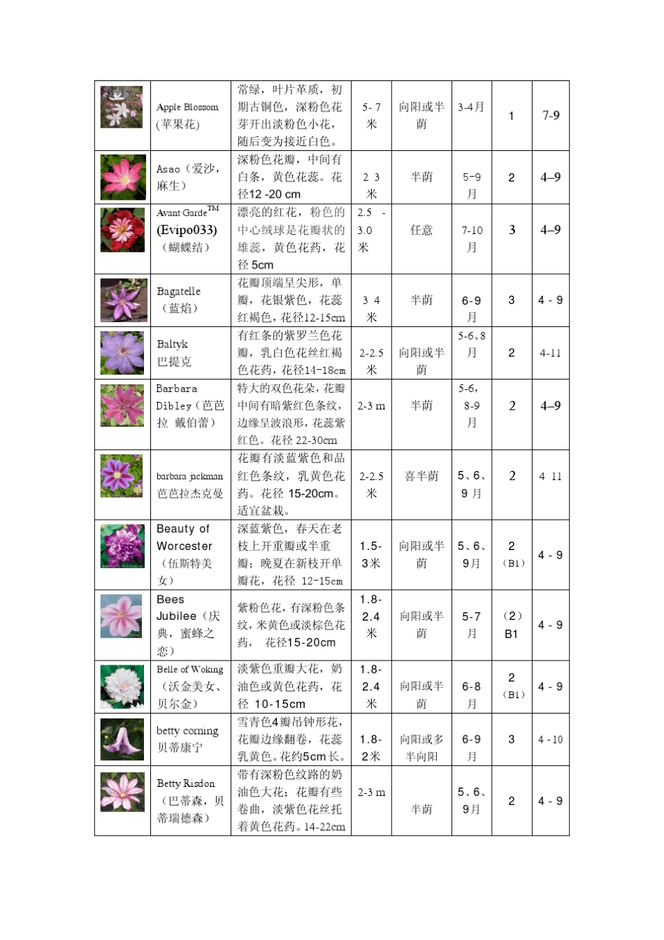 部分铁线莲品种特性简表1_第2页