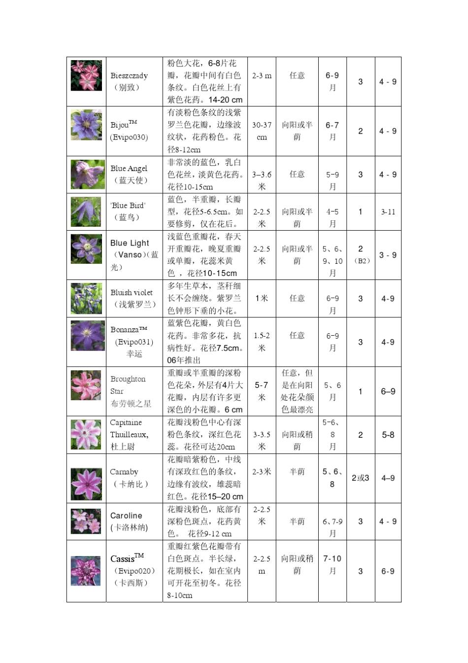 部分铁线莲品种特性简表1_第3页