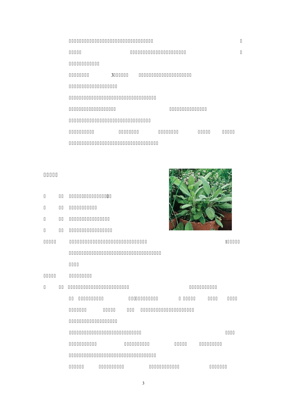 部分香草品种简介_第3页