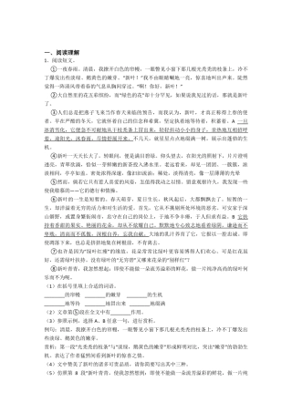 部编版五年级语文阅读理解专题练习