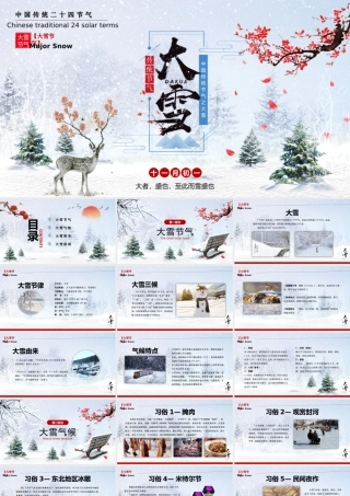 传统节日二十四节气大雪