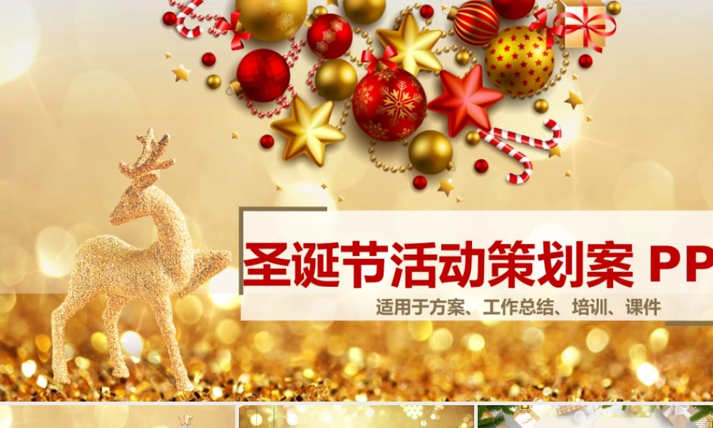 圣诞节活动策划模板