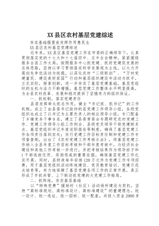 XX县区农村基层党建综述