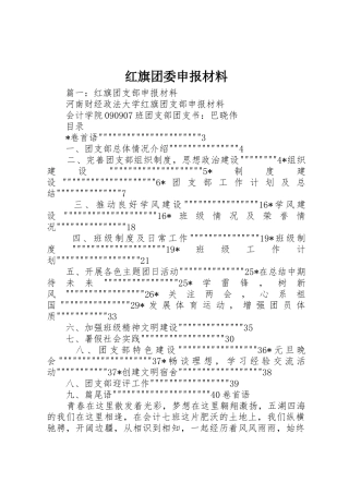 红旗团委申报材料
