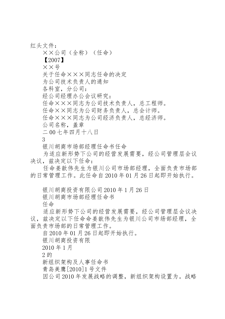 南通维意人事任命书_第2页