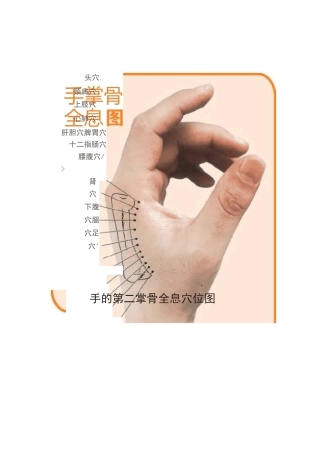 第二掌骨全息疗法介绍