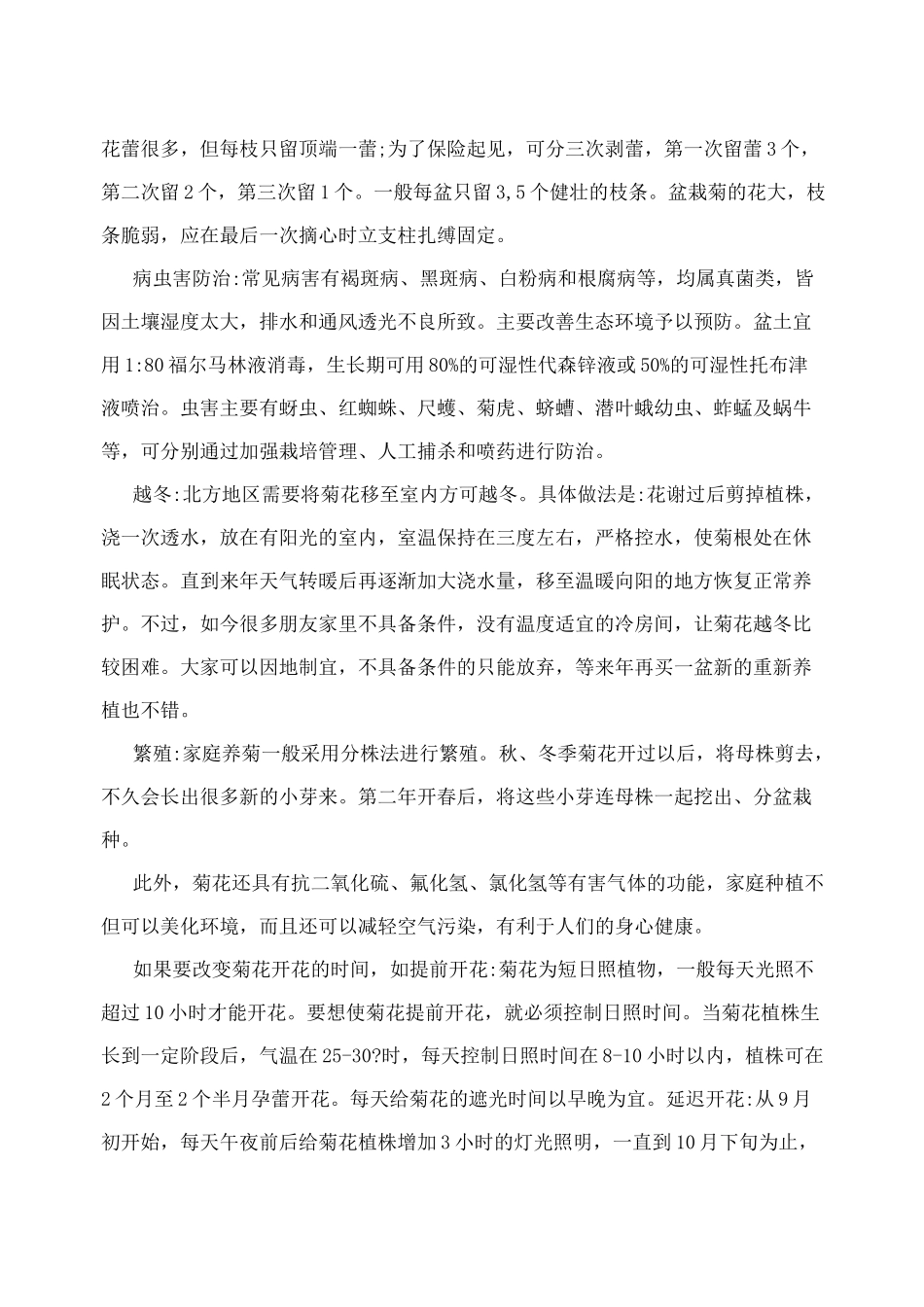 菊花的基本介绍_第2页