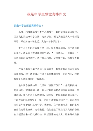 我是中学生感觉真棒作文