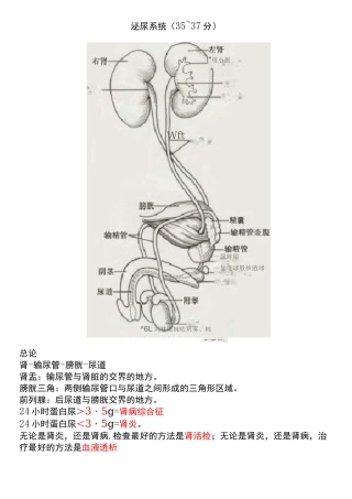 医学-泌尿系统