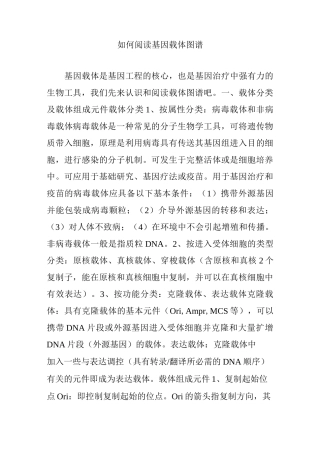 如何阅读基因载体图谱