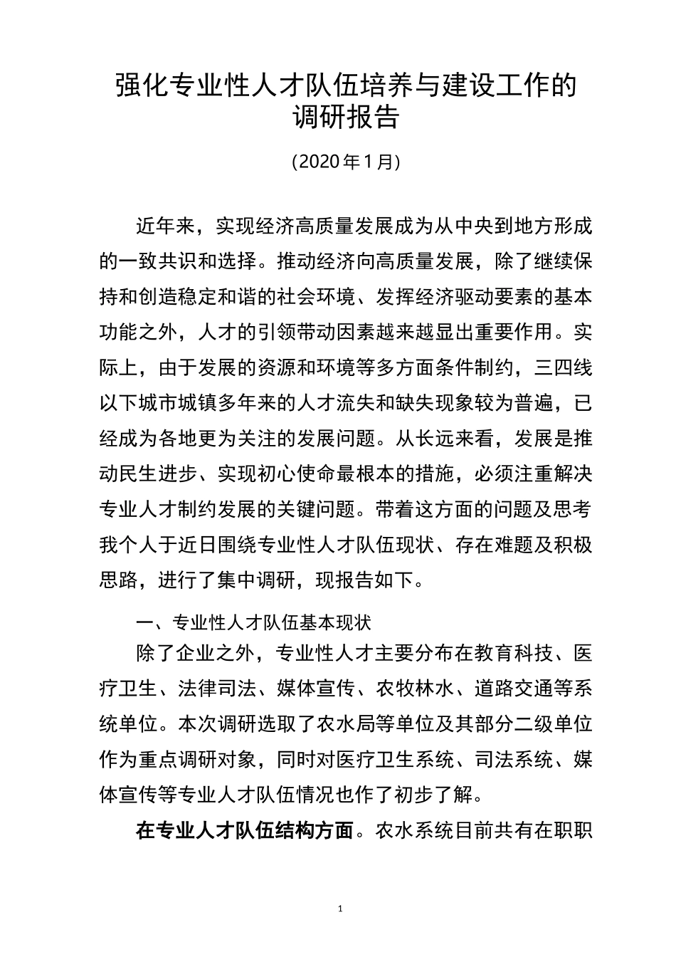 2020年专业性人才队伍建设调研报告_第1页