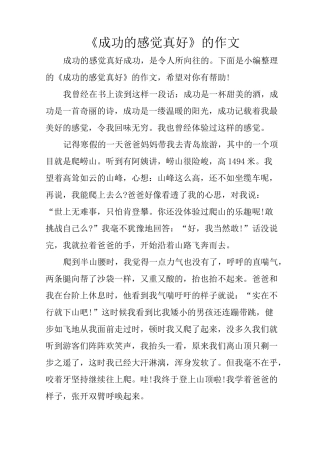 《成功的感觉真好》的作文