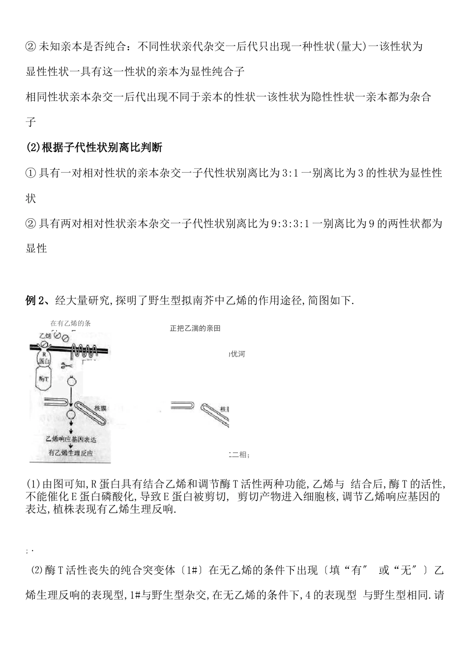 高中生物遗传试验设计及解题方法归纳超实用_第3页