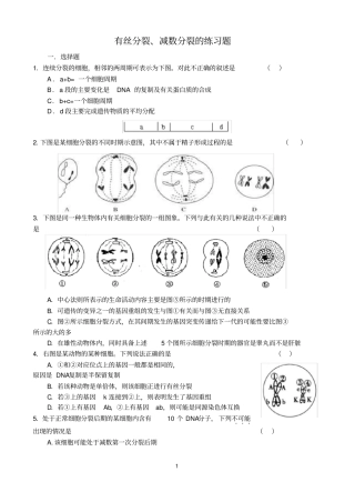 有丝分裂、减数分裂的练习题附答案