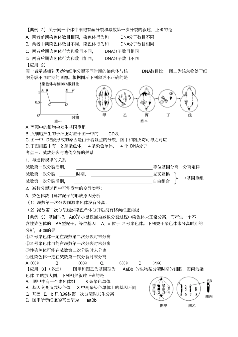 有丝分裂与减数分裂二轮复习供参考_第3页