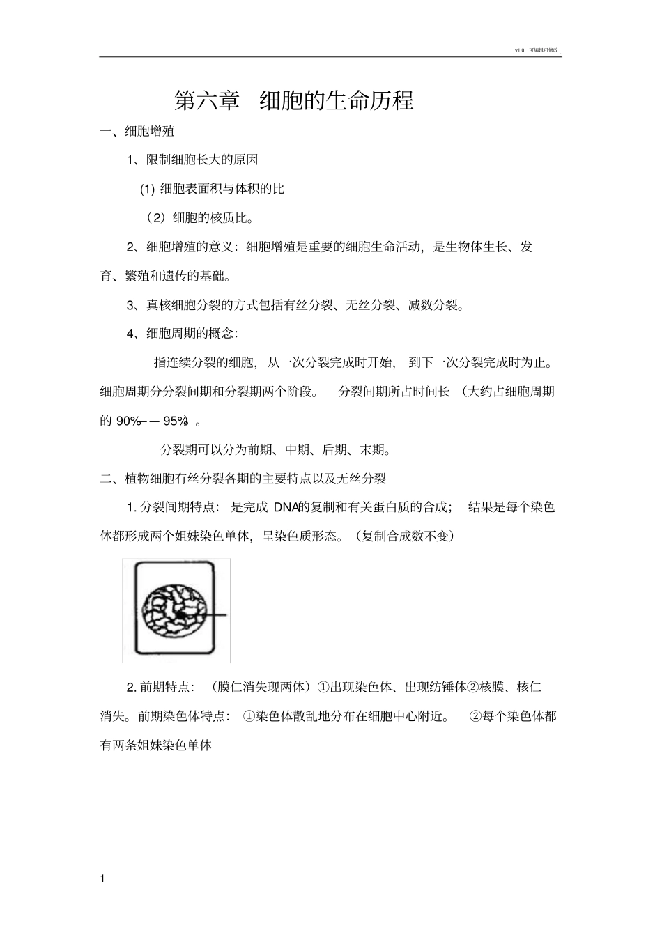 有丝分裂知识点_第1页