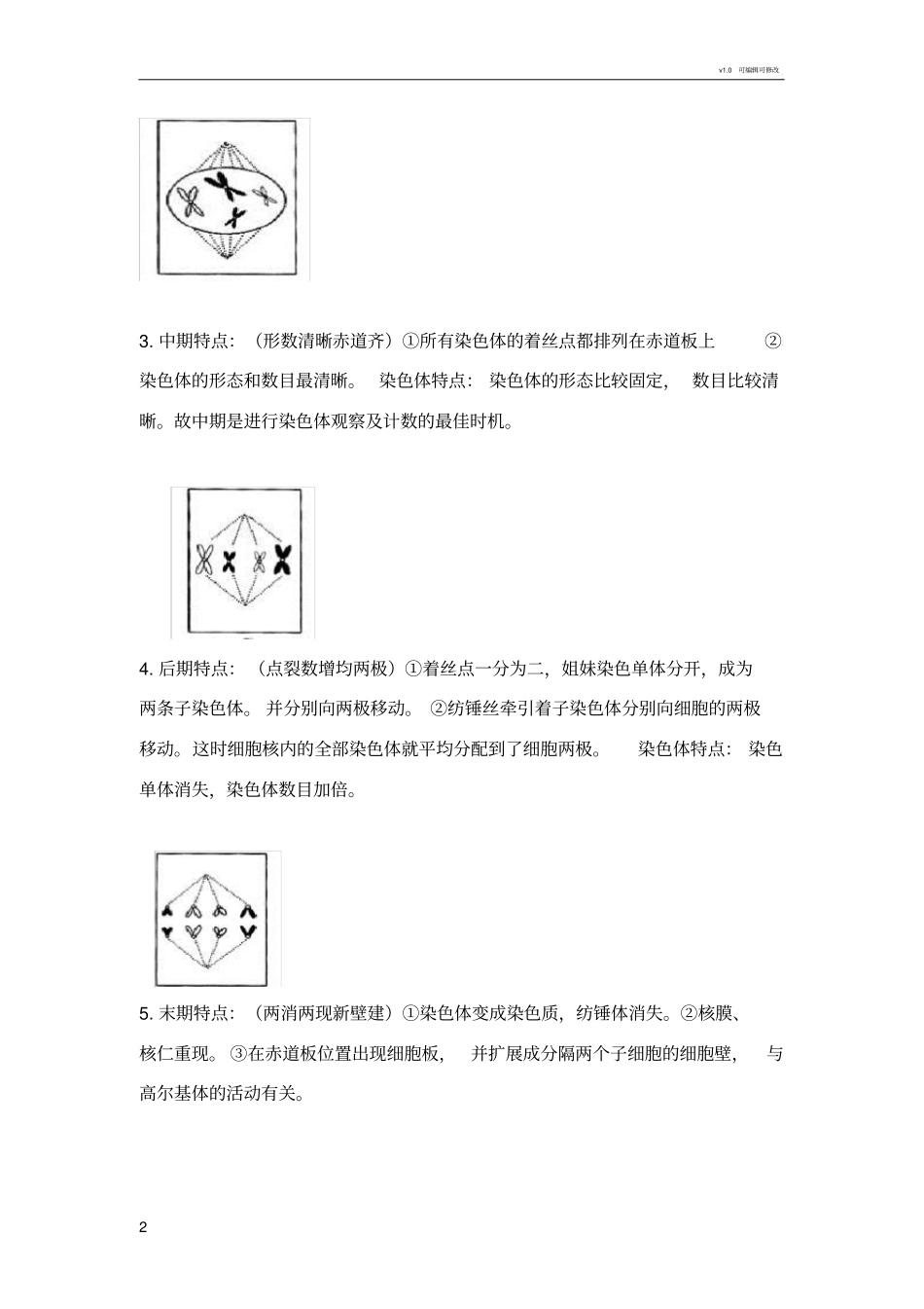 有丝分裂知识点_第2页