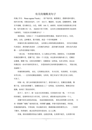 有关玫瑰唯美句子