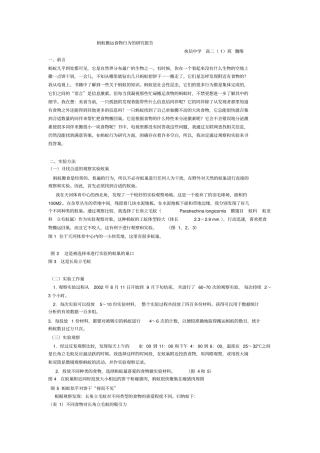 有关蚂蚁搬运食物行为的研究报告