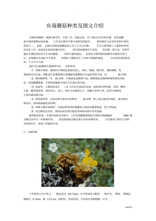 有毒蘑菇种类及图文介绍