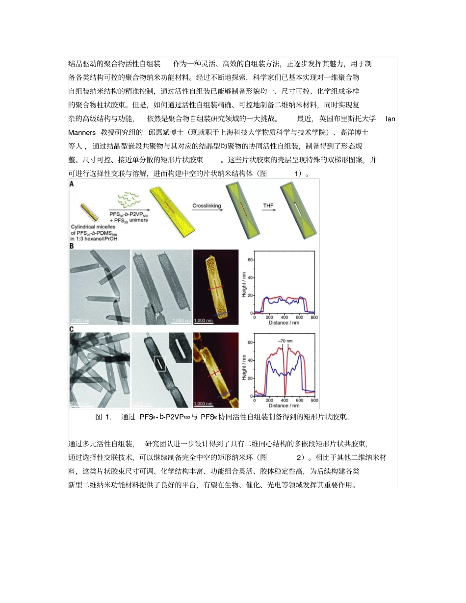 有潜力的高分子纳米材料制备技术取得新进展汇总_第1页