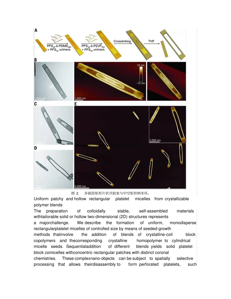 有潜力的高分子纳米材料制备技术取得新进展汇总_第2页