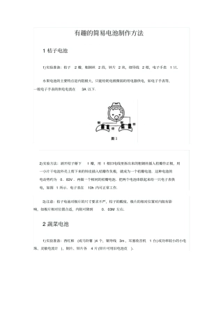 有趣的简易电池制作方法