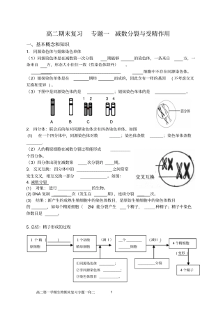 期末复习减数分裂与受精作用呕心沥血精品汇总