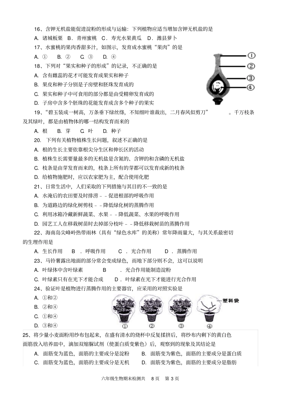 期末检测何敬涛重点讲义资料_第3页